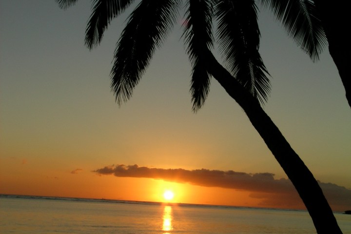 a sunset over a body of water next to a palm tree