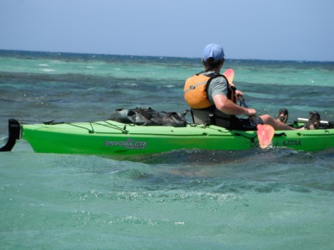 a group of people riding on the back of a boat in the water