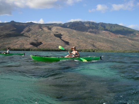 a group of people swimming in a body of water