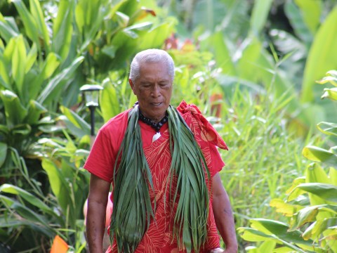 a man standing in front of a green plant