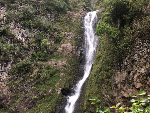 a large waterfall in a forest