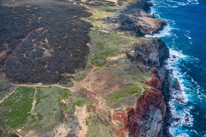 a view of a large rock