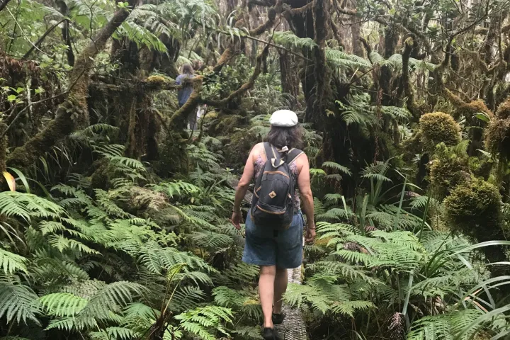 a man standing next to a tree in a forest