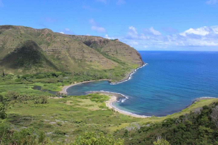 a close up of a hillside next to a body of water